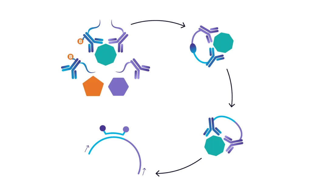 Proprietary proteomics platform technology
