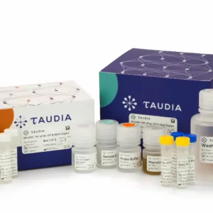 SPLASH™ Kit: pTau-217 and Aβ42 Duplex