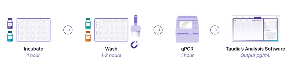 Taudia Splash technology workflow