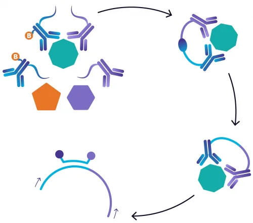 img-neuxplore-workflow-01